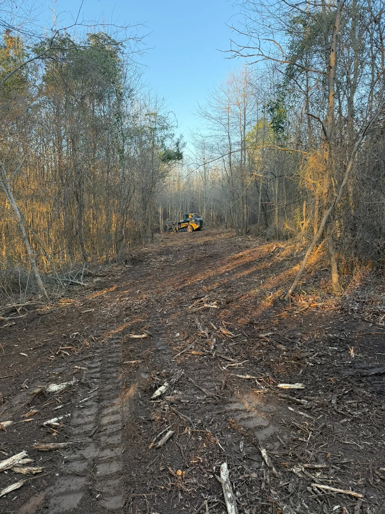 Forestry mulcher opening an overgrown access corridor